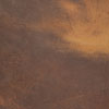 honey brown distressed leather swatch